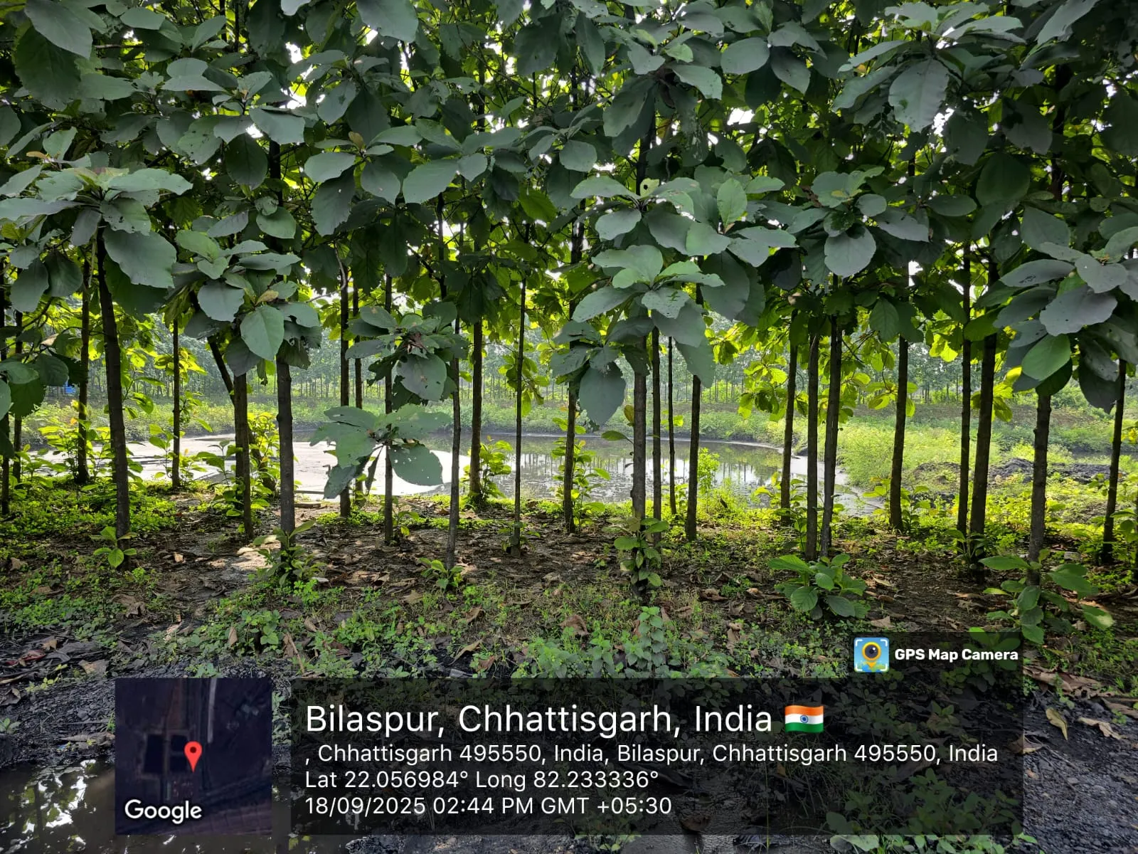 Environmental Impact Assessment