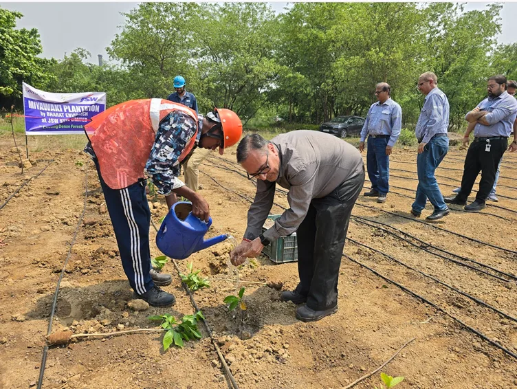 Miyawaki plantation forest setup in Raipur India